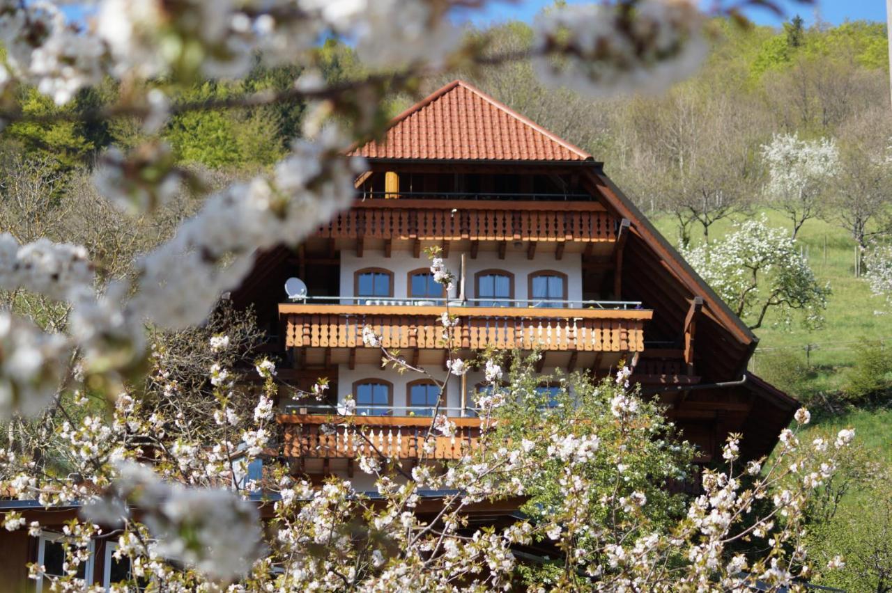 Ehrenmattlehof Faisst Aparthotel Bad Peterstal-Griesbach Exterior photo