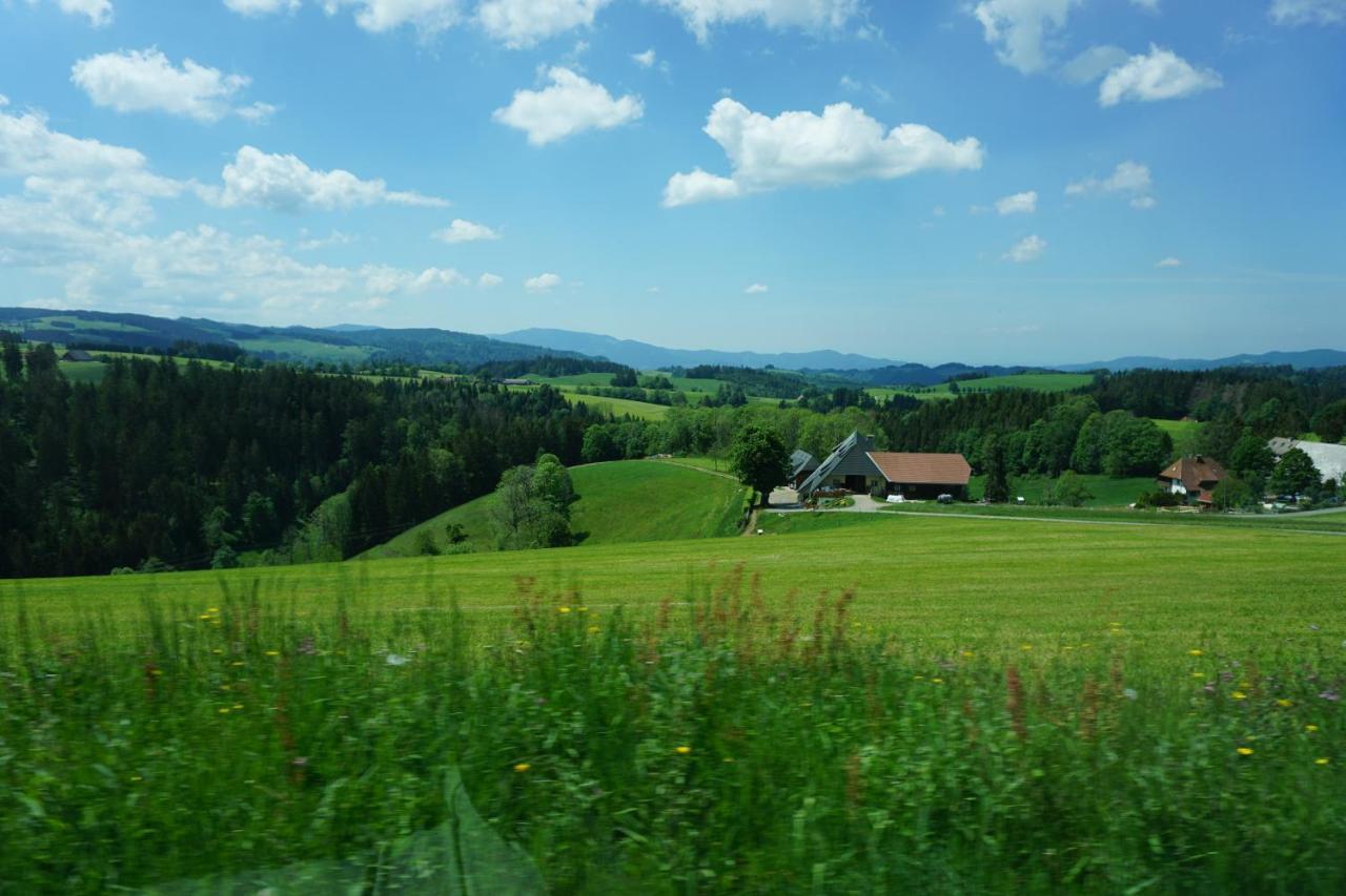 Ehrenmattlehof Faisst Aparthotel Bad Peterstal-Griesbach Exterior photo