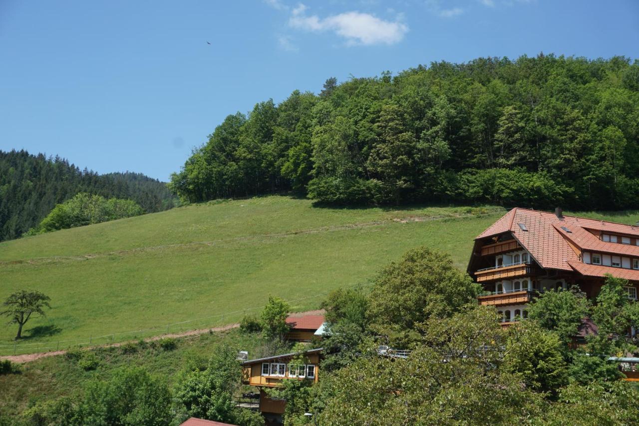 Ehrenmattlehof Faisst Aparthotel Bad Peterstal-Griesbach Exterior photo